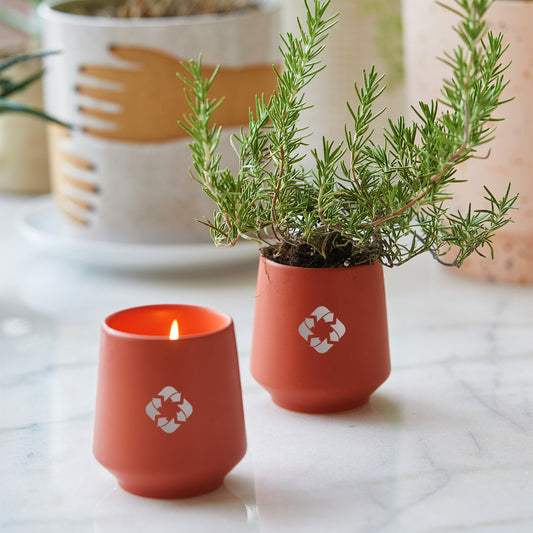 Modern Sprout Rooted Candle