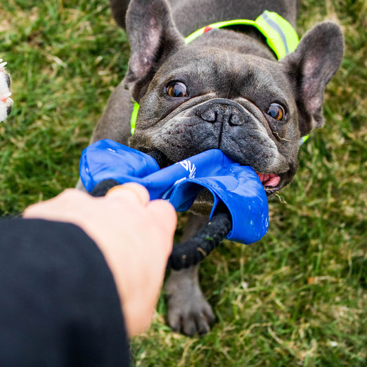 Dog Rope Disc Toy